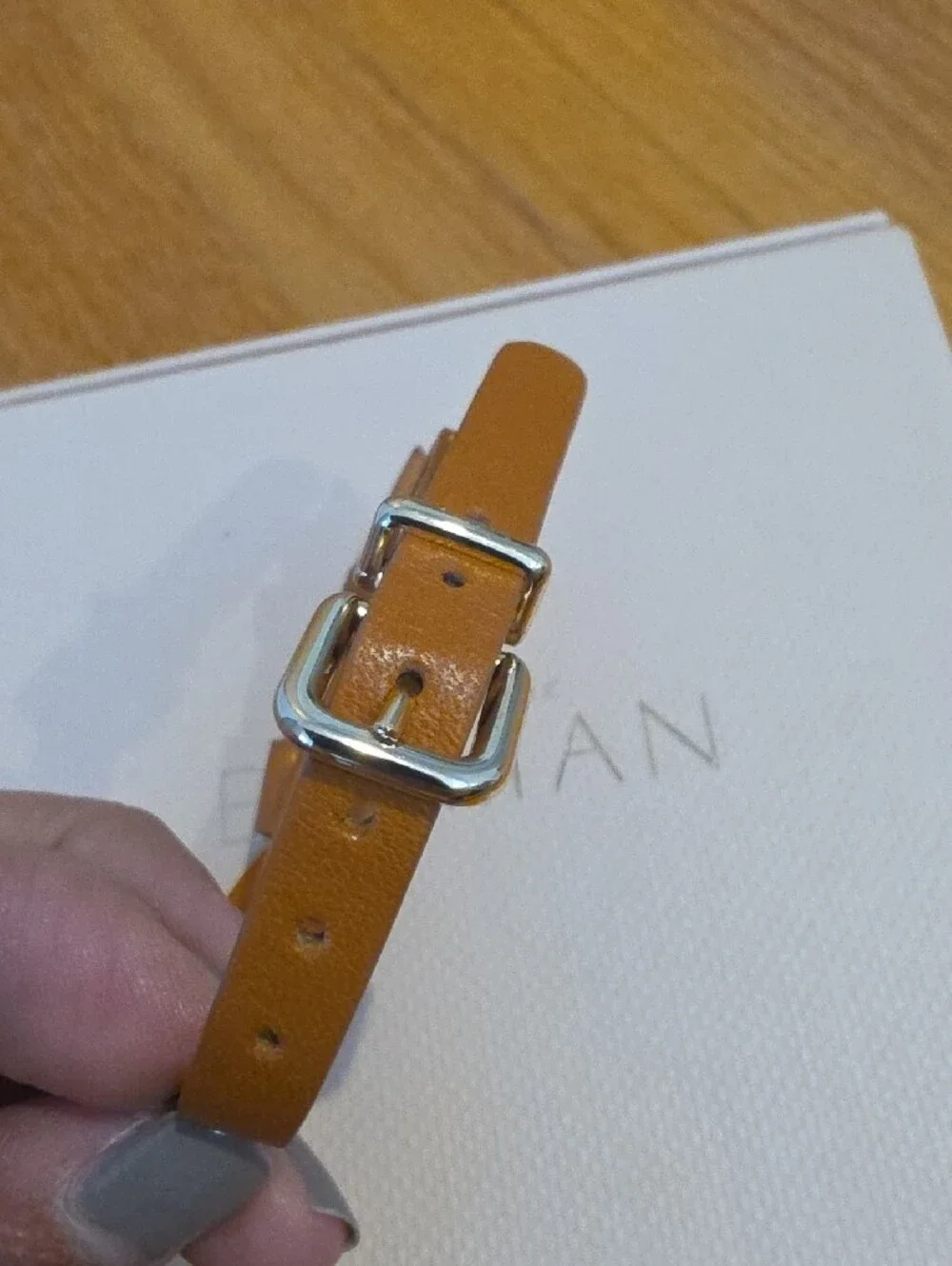 Alexandre Birman Leather Brace With White Textured Box